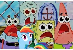 Size: 500x343 | Tagged: safe, rainbow dash, pegasus, pony, faic, meme, mr. krabs, obligatory pony, open mouth, patrick star, pressure, spongebob squarepants, squidward tentacles, wat