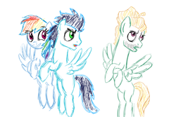 Size: 3000x2000 | Tagged: safe, artist:shabrina025, derpibooru import, rainbow dash, soarin', zephyr breeze, pegasus, pony, flutter brutter, female, jealous, male, shipping, simple background, sketch, soarindash, straight, white background