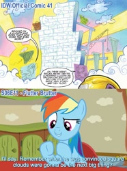 Size: 1342x1808 | Tagged: safe, artist:andypriceart, derpibooru import, idw, screencap, rainbow dash, tank, pegasus, pony, flutter brutter, spoiler:comic, spoiler:comic41, plumb bob