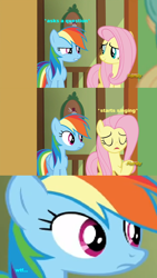 Size: 636x1125 | Tagged: safe, derpibooru import, screencap, fluttershy, rainbow dash, pegasus, pony, flutter brutter, discovery family logo, random singing time, wtf