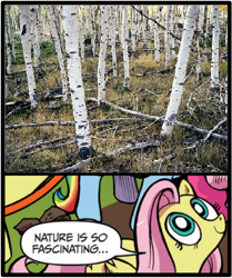 Size: 396x473 | Tagged: safe, derpibooru import, idw, fluttershy, pinkie pie, rainbow dash, earth pony, pegasus, pony, blue coat, blue eyes, dialogue, exploitable meme, female, forest, looking up, mare, meme, multicolored tail, nature is so fascinating, pando, pink coat, pink mane, smiling, solo focus, speech bubble, tree, wings, yellow coat