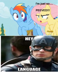 Size: 708x882 | Tagged: safe, derpibooru import, fluttershy, rainbow dash, pegasus, pony, flutter brutter, cap hates foul language, captain america, chris evans, image macro, meme, peeved, swearyshy