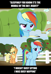 Size: 1276x1852 | Tagged: safe, derpibooru import, edit, edited screencap, screencap, applejack, rainbow dash, earth pony, pegasus, pony, flutter brutter, apple tree, book, fence, image macro, meme, tree, truth