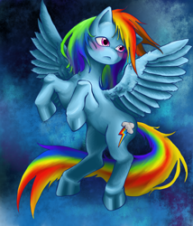 Size: 600x700 | Tagged: safe, artist:darkmewmewsun, rainbow dash, pegasus, pony, female, mare, simple background, solo