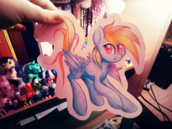 Size: 850x640 | Tagged: safe, artist:agletka, rainbow dash, pegasus, pony, paper, photo, solo