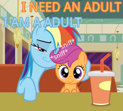 Size: 759x681 | Tagged: safe, derpibooru import, edit, rainbow dash, scootaloo, pegasus, pony, the saddle row review, blue text, diner, dragon ball z, dragonball z abridged, faic, female, filly, i am an adult, i need an adult, image macro, interview, lesbian, mare, meme, orange text, scootadash, shipping, smug, smugdash, sniffing