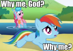 Size: 600x416 | Tagged: safe, derpibooru import, edit, edited screencap, screencap, pinkie pie, rainbow dash, earth pony, pegasus, pony, griffon the brush off, image macro