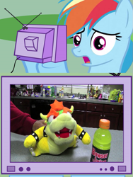 Size: 601x799 | Tagged: safe, rainbow dash, pegasus, pony, bowser, exploitable meme, juice, meme, obligatory pony, super mario bros., tv meme