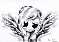 Size: 3504x2484 | Tagged: safe, artist:kapiicefruit, rainbow dash, pegasus, pony, monochrome, solo, traditional art