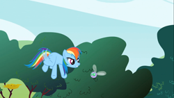 Size: 1366x768 | Tagged: safe, screencap, rainbow dash, parasprite, pegasus, pony, swarm of the century, blue coat, female, mare, multicolored mane, solo