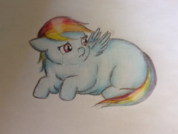Size: 1024x768 | Tagged: safe, artist:waggytail, rainbow dash, fluffy pony, pegasus, pony, crying, fluffydash, sad, sadbox, solo