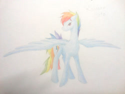 Size: 1024x768 | Tagged: safe, artist:hinadany, rainbow blitz, rainbow dash, pegasus, pony, rule 63, solo, traditional art