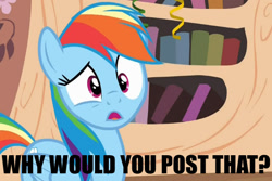 Size: 600x400 | Tagged: safe, rainbow dash, pegasus, pony, daring don't, caption, faic, national random holiday party day, reaction image, solo, why would you post that