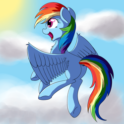 Size: 1000x1000 | Tagged: safe, artist:mistysparkzpone, rainbow dash, pegasus, pony, detailed background, female, mare, solo