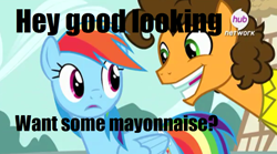 Size: 900x501 | Tagged: safe, edit, edited screencap, screencap, cheese sandwich, rainbow dash, pegasus, pony, pinkie pride, caption, female, innuendo, male, mare, meme, out of context, stallion