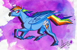 Size: 1600x1046 | Tagged: safe, artist:amyvstheworld, rainbow dash, pegasus, pony, female, mare, simple background, solo