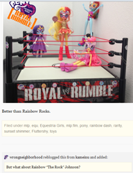 Size: 512x667 | Tagged: safe, fluttershy, rainbow dash, rarity, sunset shimmer, equestria girls, rainbow rocks, doll, fight, masked shimmer, pun, royal rumble, toy, tumblr, wrestling, wwe