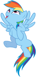 Size: 3000x6441 | Tagged: safe, artist:scourge707, rainbow dash, pegasus, pony, simple background, solo, transparent background, vector