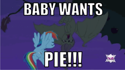 Size: 510x286 | Tagged: safe, fluttershy, rainbow dash, bat, pegasus, pony, a bug's life, flutterbat, hub logo, image macro, rainbow dash presents