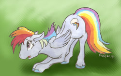 Size: 1056x666 | Tagged: safe, artist:foxofwar, rainbow dash, pegasus, pony, female, gradient background, mare, solo