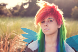 Size: 1404x936 | Tagged: safe, artist:norikat, rainbow dash, human, cosplay, irl, irl human, photo, solo