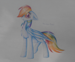 Size: 2324x1920 | Tagged: safe, artist:tenebristayga, rainbow dash, pegasus, pony, blushing, cute, dashabetes, floppy ears, solo, traditional art