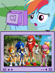 Size: 601x800 | Tagged: source needed, useless source url, safe, rainbow dash, pegasus, pony, amy rose, crossover, exploitable meme, knuckles the echidna, meme, miles "tails" prower, obligatory pony, ruined forever, sonic boom, sonic drama, sonic the hedgehog, sonic the hedgehog (series), tv meme