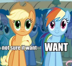 Size: 480x438 | Tagged: safe, derpibooru import, applejack, rainbow dash, earth pony, pegasus, pony, image macro, not sure if want, reaction image, varying degrees of want, want