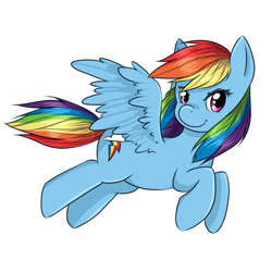 Size: 1000x1000 | Tagged: safe, artist:lyllisa, rainbow dash, pegasus, pony, blue coat, female, mare, multicolored mane, simple background, solo, white background, wings