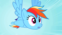 Size: 1280x720 | Tagged: safe, derpibooru import, screencap, rainbow dash, pegasus, pony, may the best pet win, flying, great moments in animation, solo