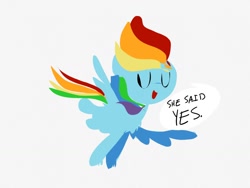 Size: 1024x768 | Tagged: safe, artist:supernoncutie, rainbow dash, pegasus, pony, female, lesbian, solo