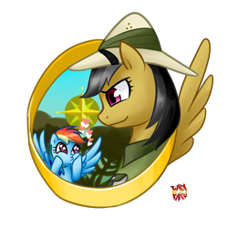 Size: 1000x1000 | Tagged: safe, artist:norang94, daring do, rainbow dash, pegasus, pony, compass rose, heart, palindrome get, so awesome, wingding eyes