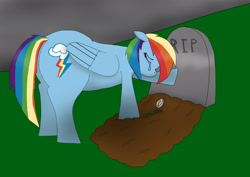 Size: 3913x2769 | Tagged: safe, artist:numbuh0051, rainbow dash, pegasus, pony, crying, grave, solo