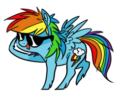 Size: 535x414 | Tagged: safe, artist:xenon, rainbow dash, pegasus, pony, blue coat, female, mare, multicolored mane, solo, sunglasses