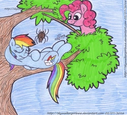 Size: 1024x926 | Tagged: safe, artist:skywalkergirl666, derpibooru import, pinkie pie, rainbow dash, earth pony, pegasus, pony, spider, incoming prank, on back, prank, traditional art, tree branch