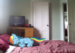 Size: 1432x1010 | Tagged: safe, artist:alerkina2, rainbow dash, fanfic:my little dashie, bed, cute, dashabetes, irl, photo, ponies in real life, sleeping, solo