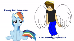 Size: 1920x1080 | Tagged: safe, artist:alerkina2, rainbow dash, pegasus, pony, death, jontron thread, sad