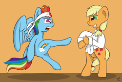 Size: 1576x1060 | Tagged: safe, artist:thexiiilightning, derpibooru import, applejack, rainbow dash, earth pony, pegasus, pony, fight, karate, kung fu, rivalry