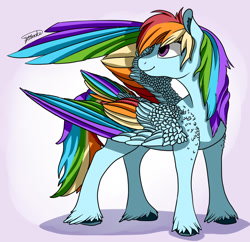 Size: 1024x991 | Tagged: safe, artist:moonstone360, derpibooru import, rainbow dash, pegasus, pony, colored wings, ear fluff, multicolored wings, rainbow wings, solo, unshorn fetlocks