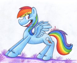 Size: 1308x1062 | Tagged: safe, artist:iceberglonely, derpibooru import, rainbow dash, pegasus, pony, solo, unshorn fetlocks