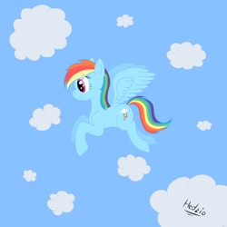 Size: 894x894 | Tagged: safe, artist:headcrabik, rainbow dash, pegasus, pony, blue coat, female, flying, mare, solo