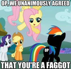 Size: 625x613 | Tagged: safe, derpibooru import, edit, applejack, fluttershy, rainbow dash, rarity, earth pony, pegasus, pony, unicorn, image macro, op is a faggot, reaction image, vulgar