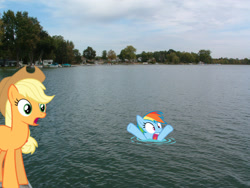 Size: 1600x1200 | Tagged: safe, artist:unknownartist111, derpibooru import, applejack, rainbow dash, asphyxiation, drowning, irl, lake, photo, ponies in real life, vector, water