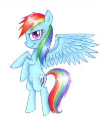 Size: 1058x1279 | Tagged: safe, artist:sassafrass002, derpibooru import, rainbow dash, pegasus, pony, solo, traditional art