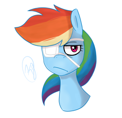 Size: 1240x1200 | Tagged: safe, artist:universe-fairy, derpibooru import, rainbow dash, pegasus, pony, bust, eyepatch, portrait, solo, unamused