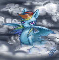 Size: 1280x1314 | Tagged: safe, artist:tigerloup, rainbow dash, pegasus, pony, cloud, cloudy, solo, watermark