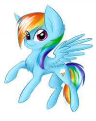 Size: 1024x1292 | Tagged: safe, artist:solweig, derpibooru import, rainbow dash, pegasus, pony, chest fluff, solo