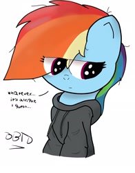 Size: 1921x2447 | Tagged: safe, artist:bronybehindthedoor, derpibooru import, rainbow dash, pegasus, pony, clothes, dialogue, digital art, hoodie, signature, solo