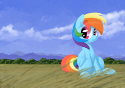 Size: 1200x850 | Tagged: safe, artist:mr.mass, derpibooru import, rainbow dash, pegasus, pony, sitting, solo