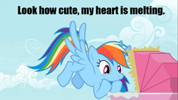 Size: 960x540 | Tagged: safe, rainbow dash, pegasus, pony, blue coat, female, image macro, mare, meme, solo